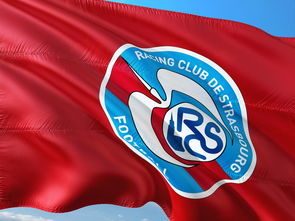 乐鱼体育平台-帕尔梅拉斯球员伤愈归队，阵容进一步完整，蓄势待发迎接新挑战